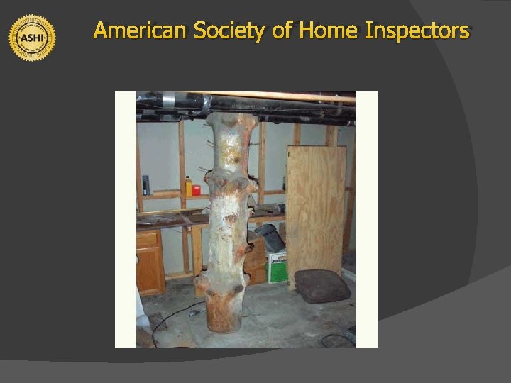 American Society of Home Inspectors 