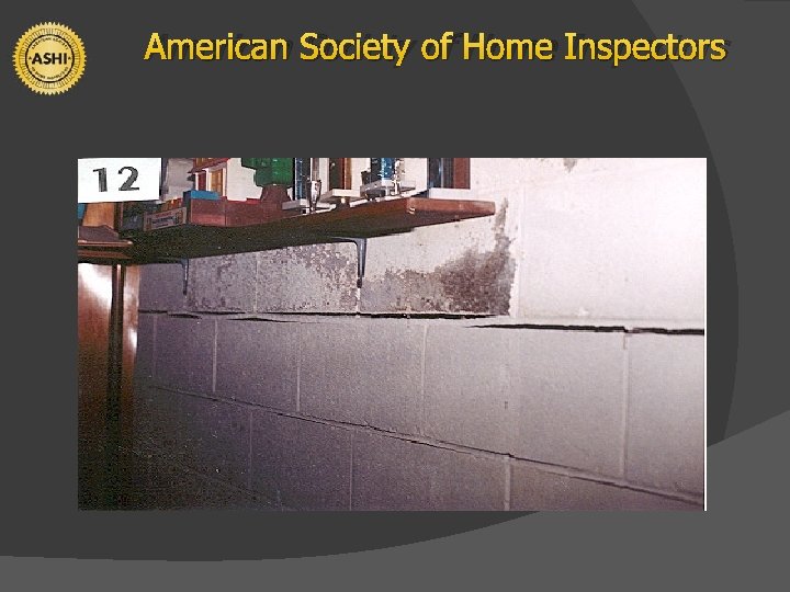 American Society of Home Inspectors 