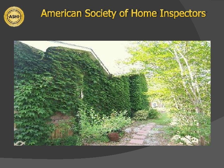 American Society of Home Inspectors 