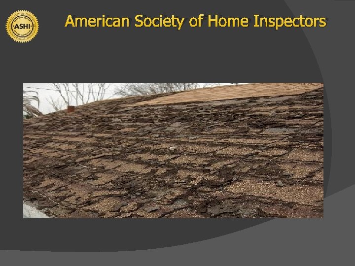 American Society of Home Inspectors 