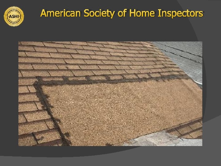 American Society of Home Inspectors 