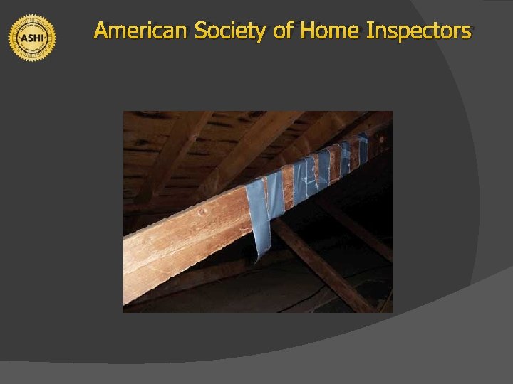 American Society of Home Inspectors 