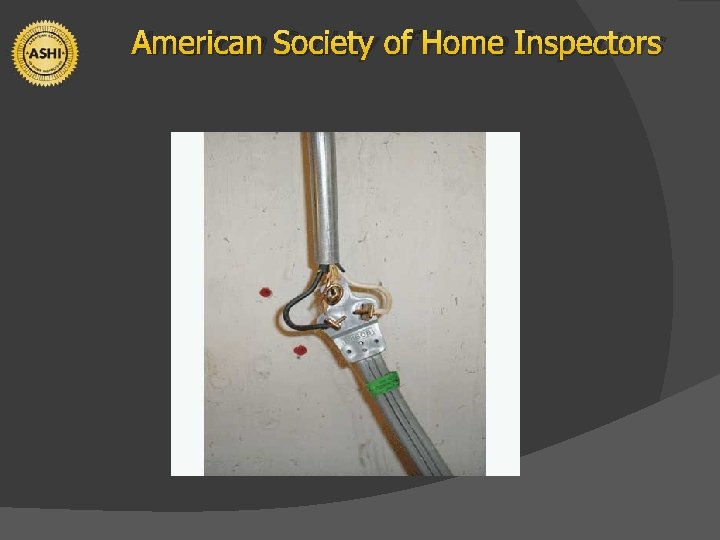 American Society of Home Inspectors 