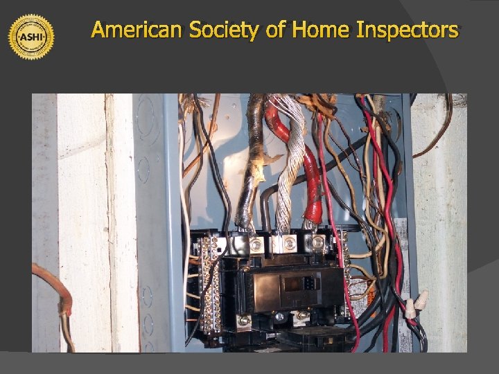 American Society of Home Inspectors 