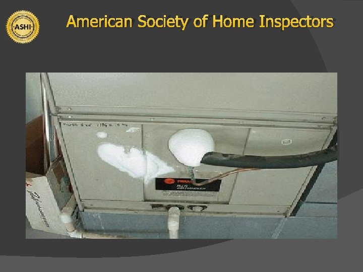 American Society of Home Inspectors 