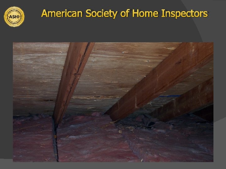 American Society of Home Inspectors 