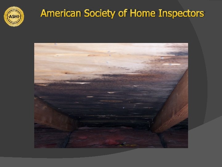 American Society of Home Inspectors 