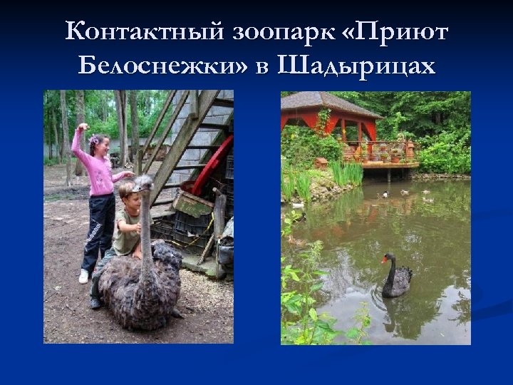 Контактный зоопарк «Приют Белоснежки» в Шадырицах 