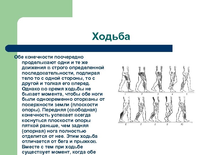 Главное отличие бега от ходьбы