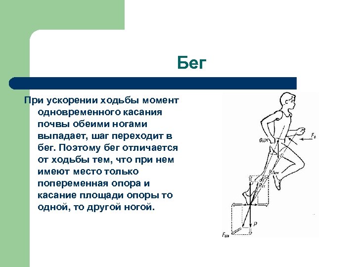 Особенности механизма