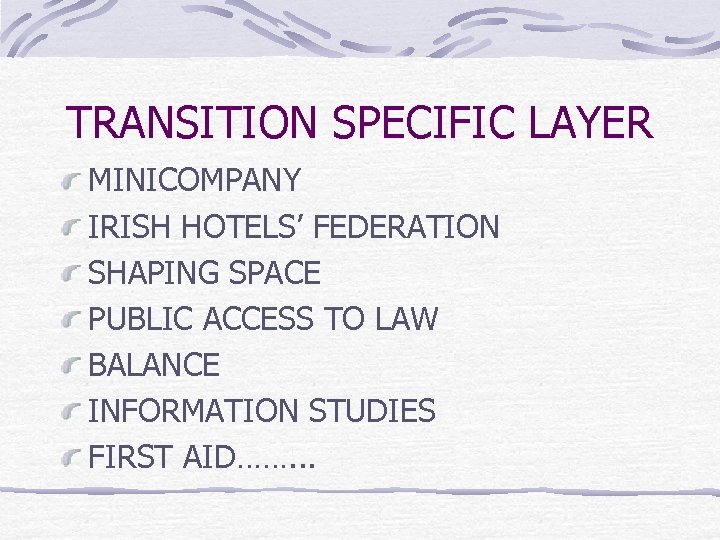 TRANSITION SPECIFIC LAYER MINICOMPANY IRISH HOTELS’ FEDERATION SHAPING SPACE PUBLIC ACCESS TO LAW BALANCE