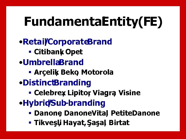 Fundamental Entity(FE) • Retail Corporate. Brand / § Citibank Opet , • Umbrella. Brand