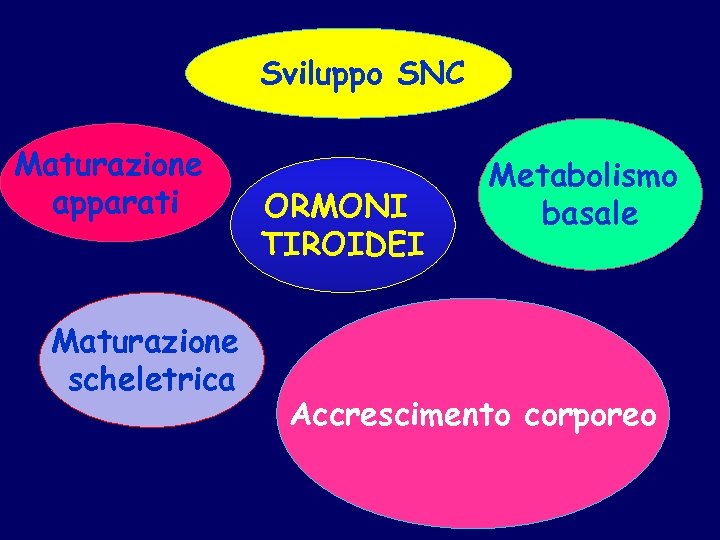 Sviluppo SNC Maturazione apparati Maturazione scheletrica ORMONI TIROIDEI Metabolismo basale Accrescimento corporeo 
