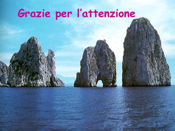 Grazie per l’attenzione 
