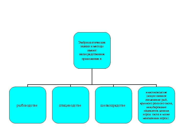 Эмбриологические знания и методы имеют непосредственное приложение в: рыбоводстве птицеводстве шелкопрядстве животноводстве (искусственное осеменение