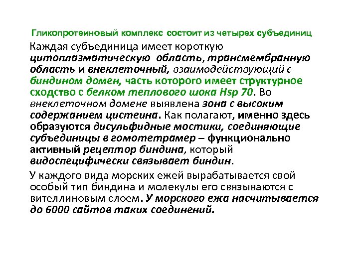  Гликопротеиновый комплекс состоит из четырех субъединиц Каждая субъединица имеет короткую цитоплазматическую область, трансмембранную