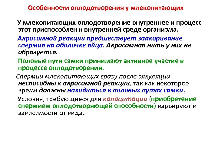 Какое оплодотворение у млекопитающих. Особенности оплодотворения у млекопитающих. Особенности оплодотворения у человека. Характеристика оплодотворения.