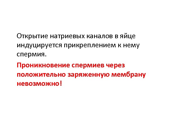 Открытие натриевых каналов в яйце индуцируется прикреплением к нему спермия. Проникновение спермиев через положительно