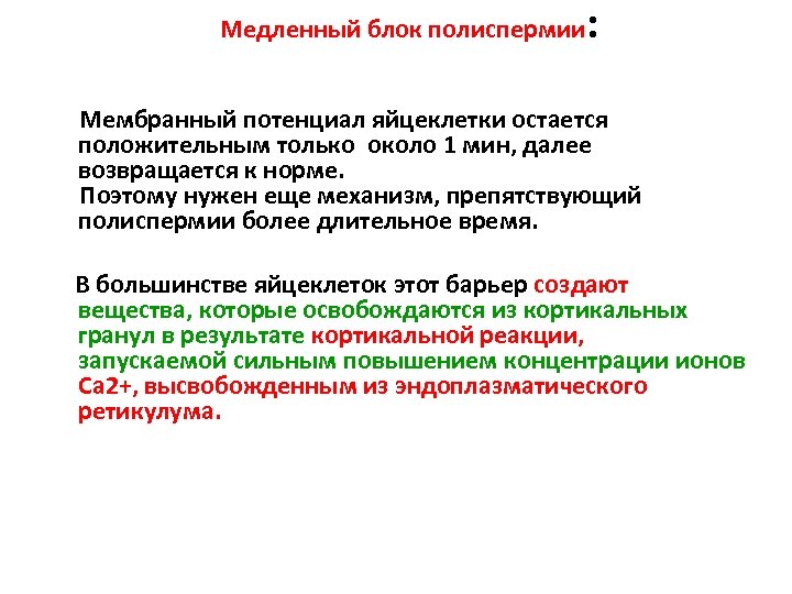 Медленный блок полиспермии : Мембранный потенциал яйцеклетки остается положительным только около 1 мин, далее