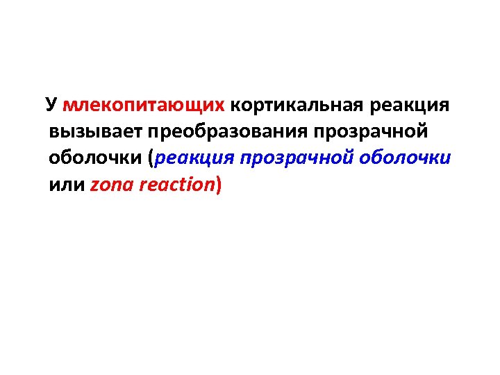 У млекопитающих кортикальная реакция вызывает преобразования прозрачной оболочки (реакция прозрачной оболочки или zona reaction)