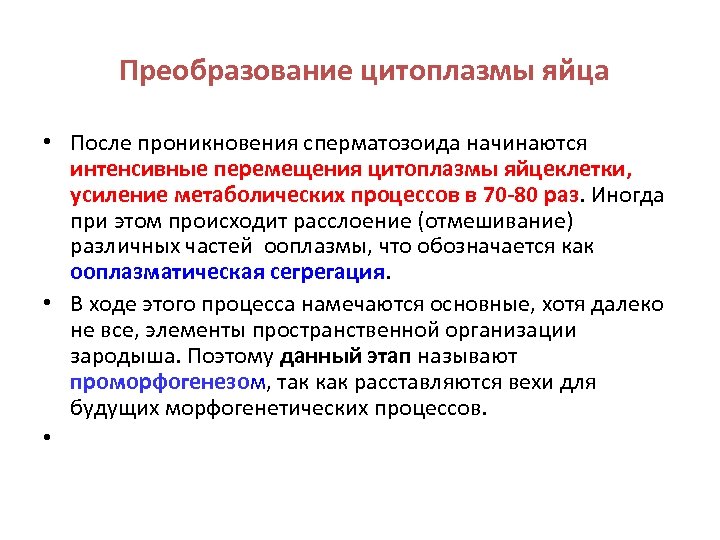 Преобразование цитоплазмы яйца • После проникновения сперматозоида начинаются интенсивные перемещения цитоплазмы яйцеклетки, усиление метаболических