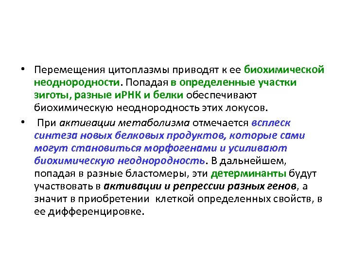  • Перемещения цитоплазмы приводят к ее биохимической неоднородности. Попадая в определенные участки зиготы,