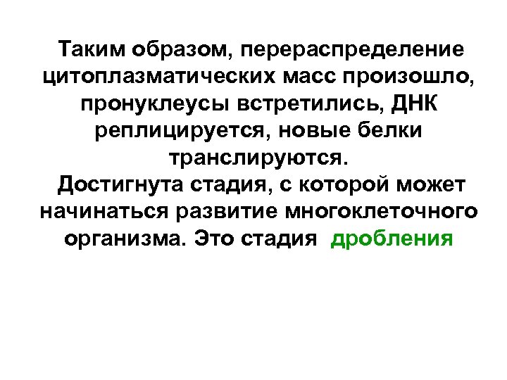 Таким образом, перераспределение цитоплазматических масс произошло, пронуклеусы встретились, ДНК реплицируется, новые белки транслируются. Достигнута