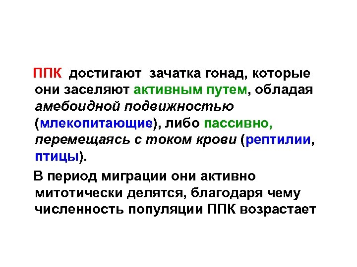  ППК достигают зачатка гонад, которые они заселяют активным путем, обладая амебоидной подвижностью (млекопитающие),