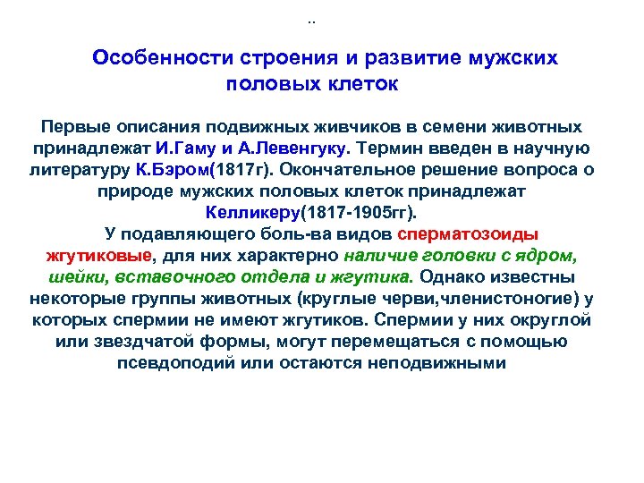 . . Особенности строения и развитие мужских половых клеток Первые описания подвижных живчиков в