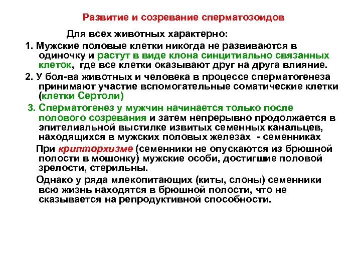 Развитие и созревание сперматозоидов Для всех животных характерно: 1. Мужские половые клетки никогда не