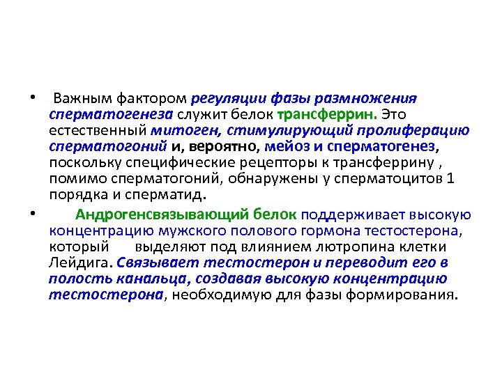  • Важным фактором регуляции фазы размножения сперматогенеза служит белок трансферрин. Это естественный митоген,