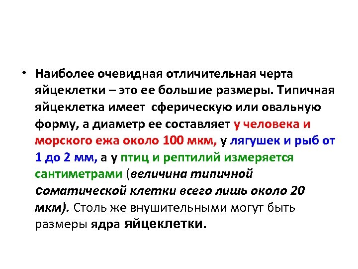  • Наиболее очевидная отличительная черта яйцеклетки – это ее большие размеры. Типичная яйцеклетка