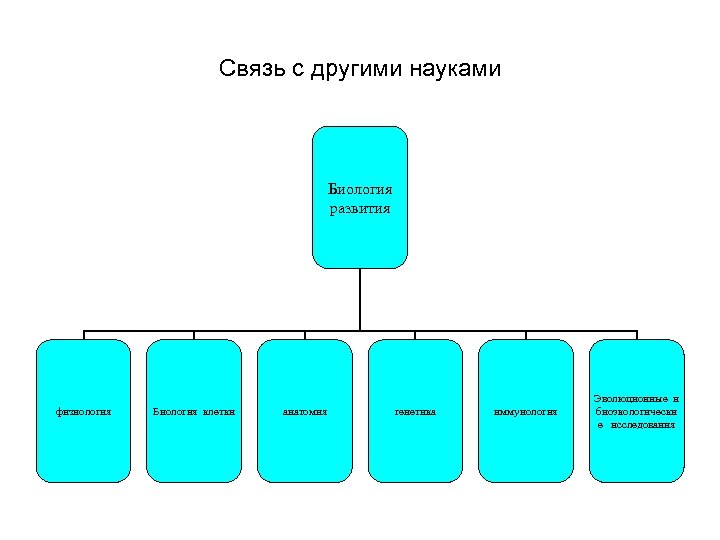 Связь биологии с другими науками