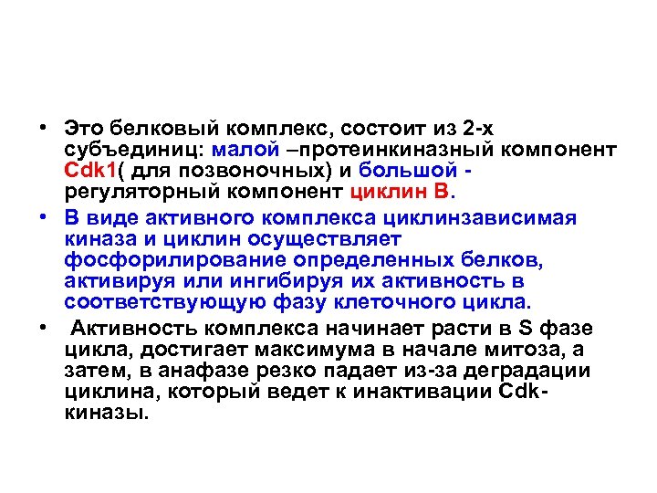  • Это белковый комплекс, состоит из 2 -х субъединиц: малой –протеинкиназный компонент Сdk