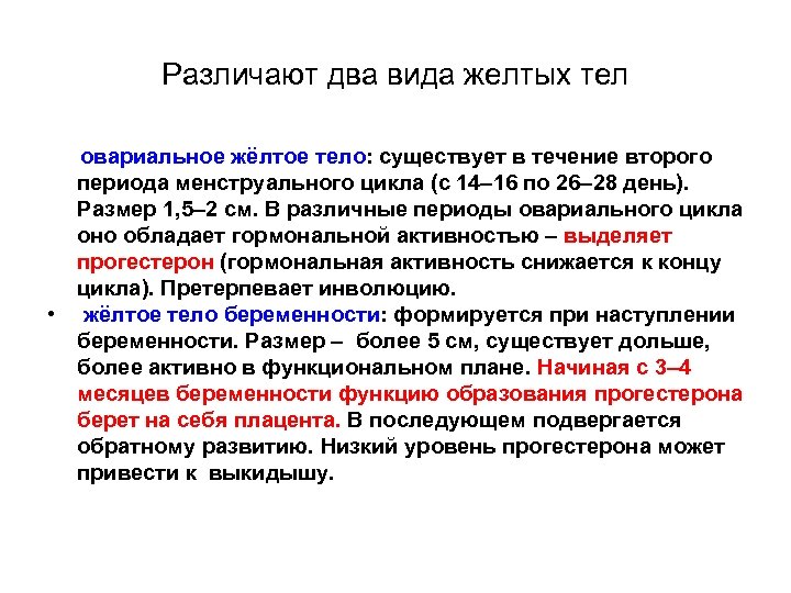 Различают два вида желтых тел овариальное жёлтое тело: существует в течение второго периода менструального