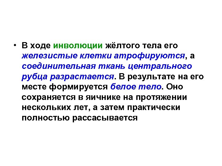  • В ходе инволюции жёлтого тела его железистые клетки атрофируются, а соединительная ткань