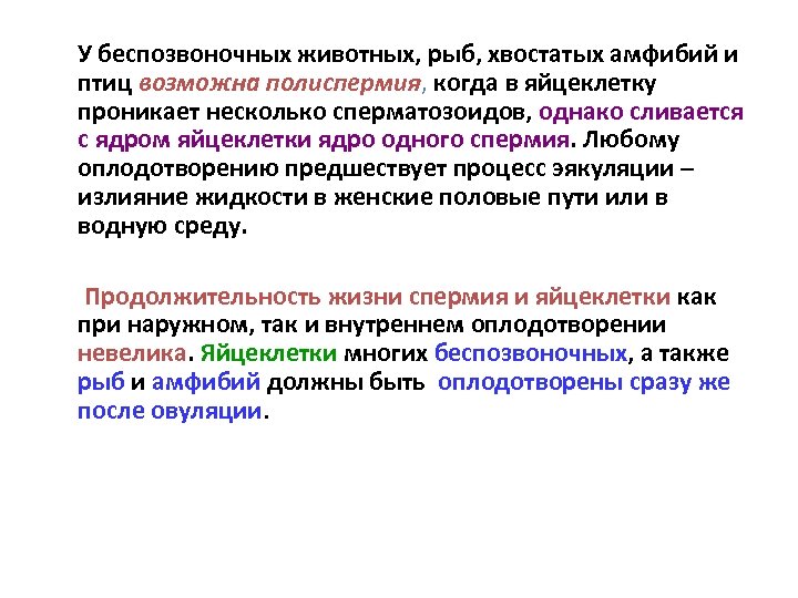  У беспозвоночных животных, рыб, хвостатых амфибий и птиц возможна полиспермия, когда в яйцеклетку