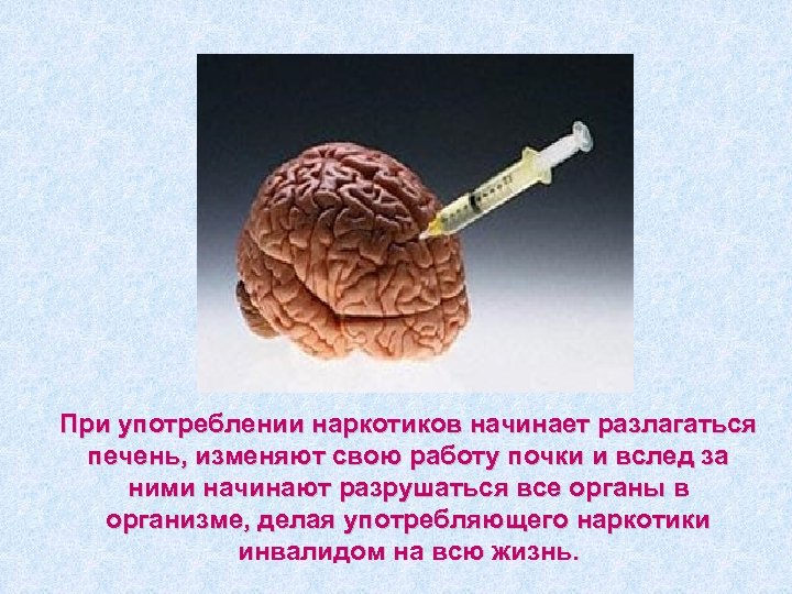При употреблении наркотиков начинает разлагаться печень, изменяют свою работу почки и вслед за ними