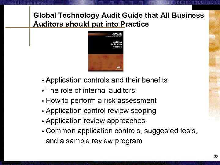 Global Technology Audit Guide that All Business Auditors should put into Practice Application controls