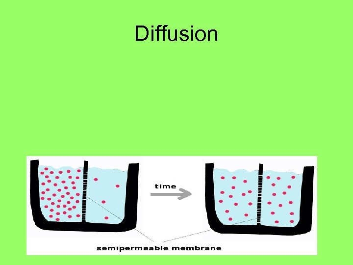 Diffusion 