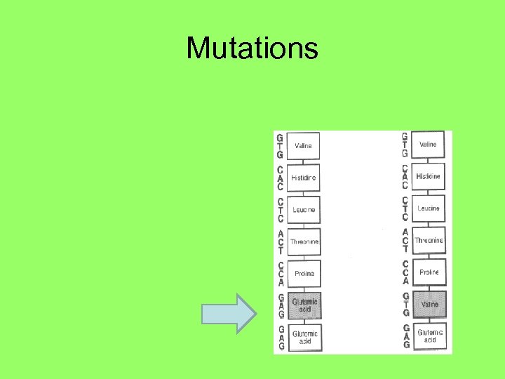 Mutations 