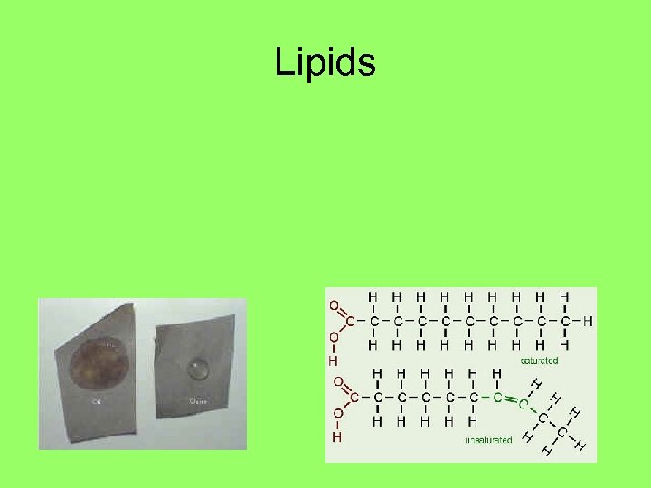 Lipids 