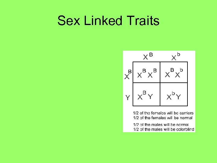 Sex Linked Traits 