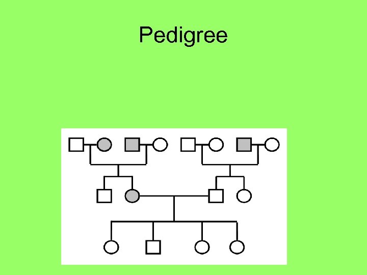 Pedigree 