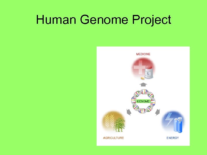 Human Genome Project 