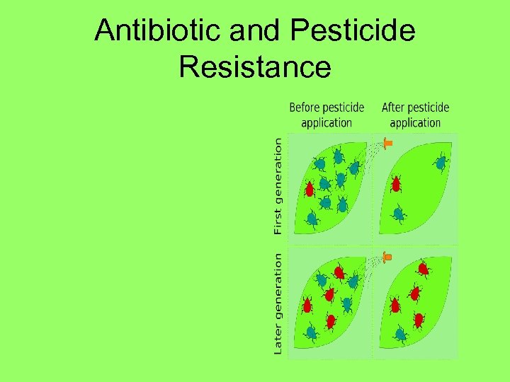 Antibiotic and Pesticide Resistance 