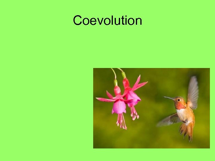 Coevolution 