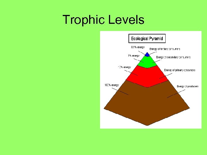 Trophic Levels 