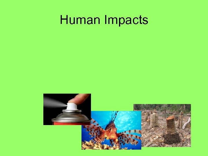 Human Impacts 