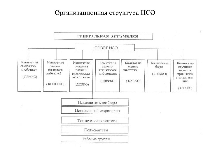 Организационная структура ИСО 